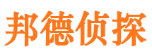 城东市私家侦探